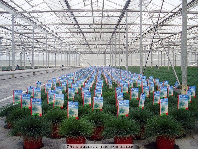 克俄村党支部勇挑重担