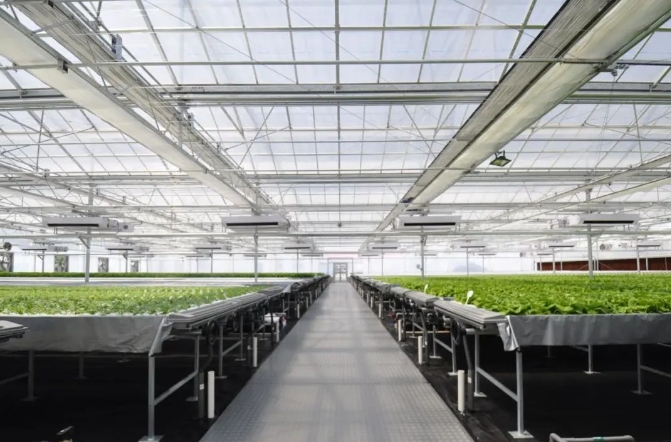 一幼儿园教师沉迷赌博