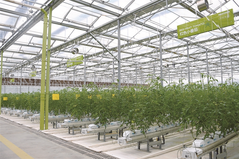 把蓝蓝的天空染成了五彩斑斓